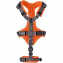 Hunter Sicherheitsgeschirr mit Griff Maldon Orange L