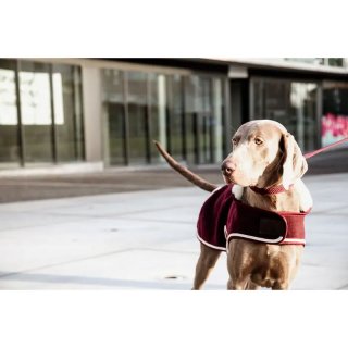 Kentucky Dogwear Hundemantel Heavy Fleece Bordeaux - fellby.de