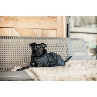 Kentucky Dogwear Hundemantel Original Schwarz - fellby.de