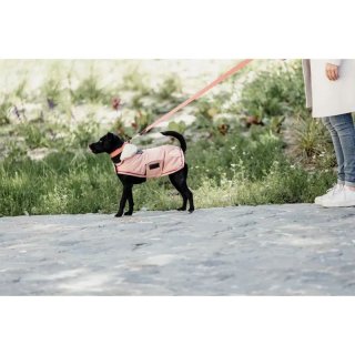 Kentucky Dogwear Hundemantel Waterproof 160g Coral - fellby.de