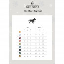 Kentucky Dogwear Hundemantel Waterproof 160g Dusty Blue Dachshund 40cm
