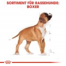 ROYAL CANIN Boxer Puppy Welpenfutter trocken 12 Kg