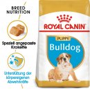 ROYAL CANIN Bulldog Puppy Welpenfutter trocken 3 Kg