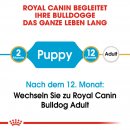 ROYAL CANIN Bulldog Puppy Welpenfutter trocken 3 Kg