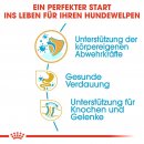ROYAL CANIN Bulldog Puppy Welpenfutter trocken 3 Kg
