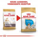 ROYAL CANIN Bulldog Puppy Welpenfutter trocken 3 Kg