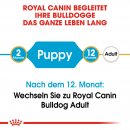 ROYAL CANIN Bulldog Puppy Welpenfutter trocken 12 Kg