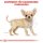 ROYAL CANIN Chihuahua Puppy Welpenfutter trocken 1,5 Kg