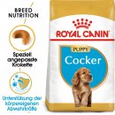 ROYAL CANIN Cocker Puppy Welpenfutter trocken 3 Kg
