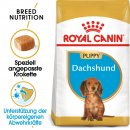 ROYAL CANIN Dachshund Puppy Welpenfutter trocken f&uuml;r Dackel 1,5 Kg