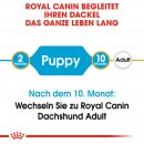 ROYAL CANIN Dachshund Puppy Welpenfutter trocken f&uuml;r Dackel 1,5 Kg