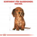 ROYAL CANIN Dachshund Puppy Welpenfutter trocken f&uuml;r Dackel 1,5 Kg