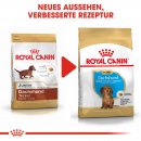 ROYAL CANIN Dachshund Puppy Welpenfutter trocken f&uuml;r Dackel 1,5 Kg