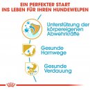 ROYAL CANIN Dalmatian Puppy Welpenfutter f&uuml;r Dalmatiner 12 Kg