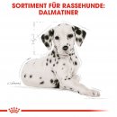 ROYAL CANIN Dalmatian Puppy Welpenfutter f&uuml;r Dalmatiner 12 Kg