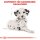 ROYAL CANIN Dalmatian Puppy Welpenfutter für Dalmatiner 12 Kg