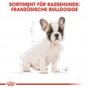 ROYAL CANIN French Bulldog Puppy Welpenfutter trocken f&uuml;r Franz&ouml;sische Bulldoggen 3 Kg