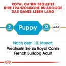 ROYAL CANIN French Bulldog Puppy Welpenfutter trocken f&uuml;r Franz&ouml;sische Bulldoggen 10 Kg