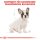 ROYAL CANIN French Bulldog Puppy Welpenfutter trocken für Französische Bulldoggen 10 Kg