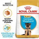 ROYAL CANIN German Shepherd Puppy Welpenfutter trocken f&uuml;r Deutsche Sch&auml;ferhunde 12 Kg