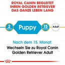 ROYAL CANIN Golden Retriever Puppy Welpenfutter trocken 3 Kg