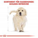 ROYAL CANIN Golden Retriever Puppy Welpenfutter trocken 12 Kg