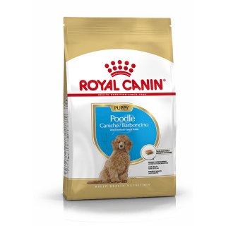 ROYAL CANIN Poodle Puppy Welpenfutter für Pudel 3 Kg