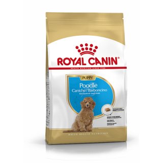 Royal canin 3 kg hotsell