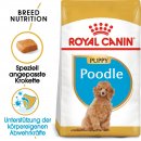 ROYAL CANIN Poodle Puppy Welpenfutter für Pudel 3 Kg