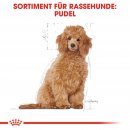 ROYAL CANIN Poodle Puppy Welpenfutter f&uuml;r Pudel 3 Kg