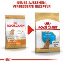 ROYAL CANIN Poodle Puppy Welpenfutter f&uuml;r Pudel 3 Kg