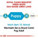 ROYAL CANIN Pug Puppy Welpenfutter trocken f&uuml;r Mops 1,5 Kg