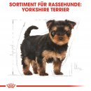 ROYAL CANIN Yorkshire Terrier Puppy Welpenfutter trocken 1,5 Kg