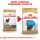 ROYAL CANIN Yorkshire Terrier Puppy Welpenfutter trocken 1,5 Kg