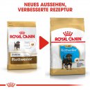 ROYAL CANIN Rottweiler Puppy  Hunde Welpenfutter trocken 12 Kg