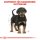 ROYAL CANIN Rottweiler Puppy  Hunde Welpenfutter trocken 12 Kg