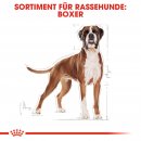 ROYAL CANIN Boxer Adult Hundefutter trocken 12 Kg