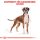 ROYAL CANIN Boxer Adult Hundefutter trocken 12 Kg