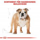 ROYAL CANIN Bulldog Adult Hundefutter trocken 3 Kg