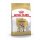 ROYAL CANIN Bulldog Adult Hundefutter trocken 3 Kg