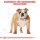 ROYAL CANIN Bulldog Adult Hundefutter trocken 3 Kg