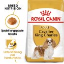 ROYAL CANIN Cavalier King Charles Adult Hundefutter trocken 7,5 Kg