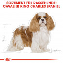 ROYAL CANIN Cavalier King Charles Adult Hundefutter trocken 7,5 Kg