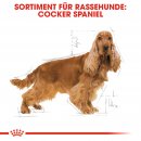 ROYAL CANIN Cocker Adult Hundefutter trocken 12 Kg