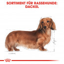 ROYAL CANIN Dachshund Adult Hundefutter trocken f&uuml;r Dackel 7,5 Kg