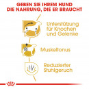 ROYAL CANIN Dachshund Adult Hundefutter trocken f&uuml;r Dackel 7,5 Kg