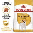 ROYAL CANIN Jack Russell Terrier Adult Hundefutter trocken 3 Kg