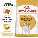 ROYAL CANIN Jack Russell Terrier Adult Hundefutter...