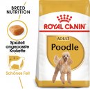ROYAL CANIN Poodle Adult Hundefutter trocken f&uuml;r Pudel 7,5 Kg