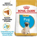 ROYAL CANIN Pug Adult Hundefutter trocken f&uuml;r Mops 3 Kg